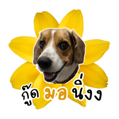 creamtamum_20260416120343