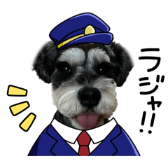 SUBARU_20260412152928