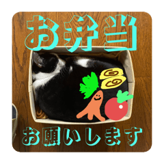 kainushi_20260415161849