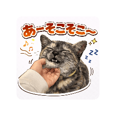 nagiko_20260415224202
