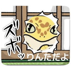 penta_20260412152846