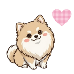Cute Pomeranian, I am Pom.
