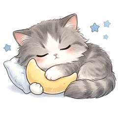 Elegant British Longhair:Daily Use