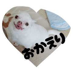 naru-1991_20260415213959