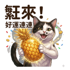 Gon the Tuxedo Cat: Daily Vibes