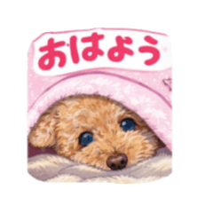 harupapa_20260415222108