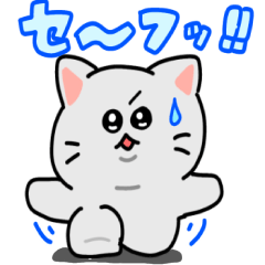 Friendly but Clumsy Cat