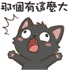 ＾• ֊ •＾ 小黑貓貓那個有這麼大