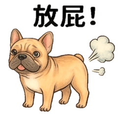 法鬥-豆豆的日常1