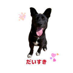 mcc355_20260415232650