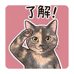 YAMAGATAAKITO_20260416002231