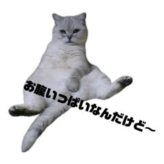 87hanamama_20260416002452