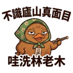 ★醬板鴨傳奇之哇洗林老木★