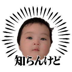 hiko._20260416003658