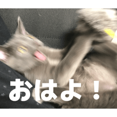 tasuo4869_20260416004420