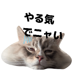 sakie_20260416004839