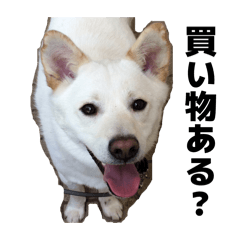 miduki_20260416025531