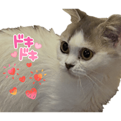 Mytocherry_20260412220152