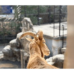 Maruta_20260412230415