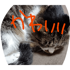 kasumi_20260412224606