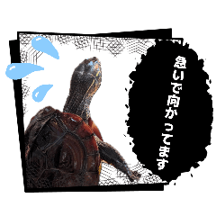 barney0717_20260413002810