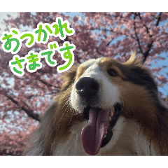 Luckymama_20260416114104