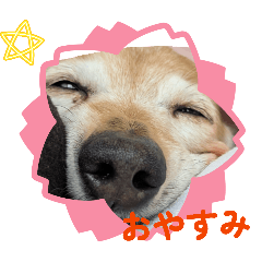 poron_20260416114141