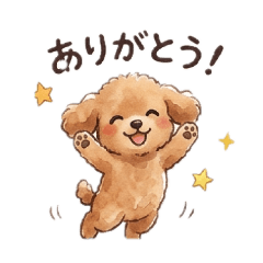 Peach the Toy Poodle 2