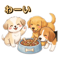 chocotto_20260416121741