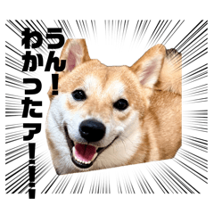 Ren and brothers_20260416124154