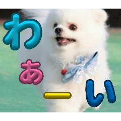 setsu_20260416122737