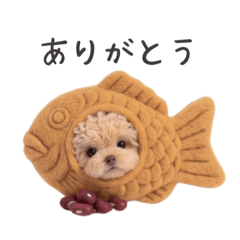 Taki Madoka_20260416123941