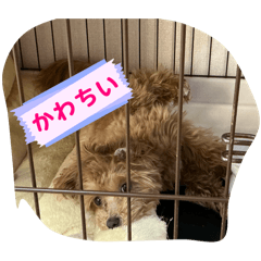 mike_20260413090235