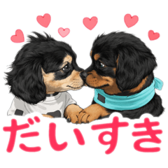 Meeei_20260416170032