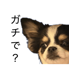 Owner of friends_20260416171342