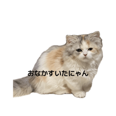 rrkeei_20260416171513