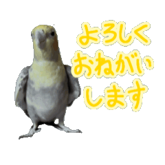 Maru's animation sticker