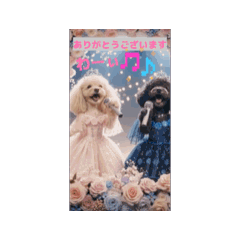 tiarapure_20260417084739