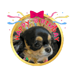 tiara_20260417024721