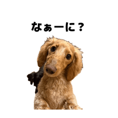 mtss7000_20260416130521