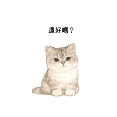 米茶日常-常用篇