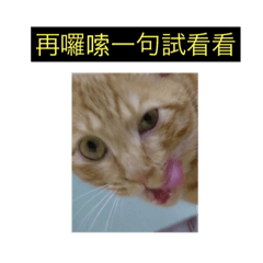 Mia的圖