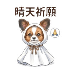 Papillon Weather 3: Rainy Day Edition