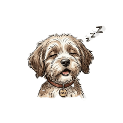 sunny day_20260416003901