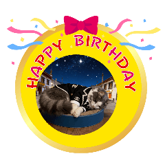 Little5_20260416124916