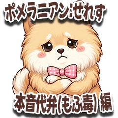 Celes the Pomeranian : Gentle honesty