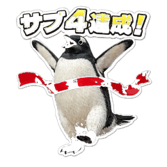 Running Penguins: Real Runner's Life