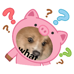 me and her_20260416135744