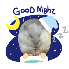 omochi_20260416174825