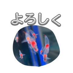 Tyuntyun_20260416174332